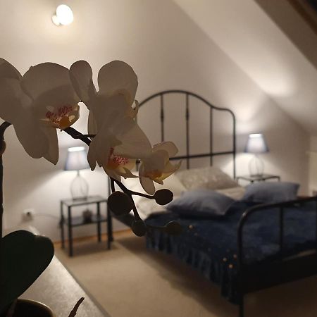 Mieszko Rooms 레기오노보 외부 사진